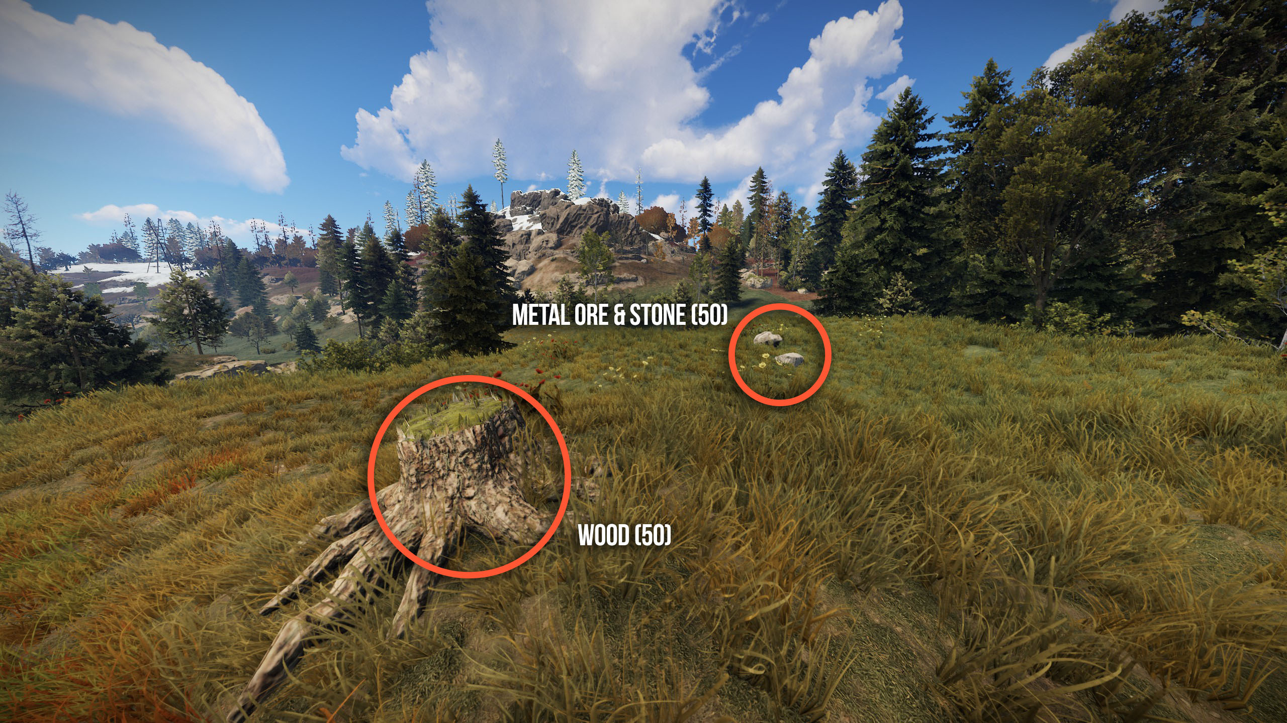 Best Rust Servers