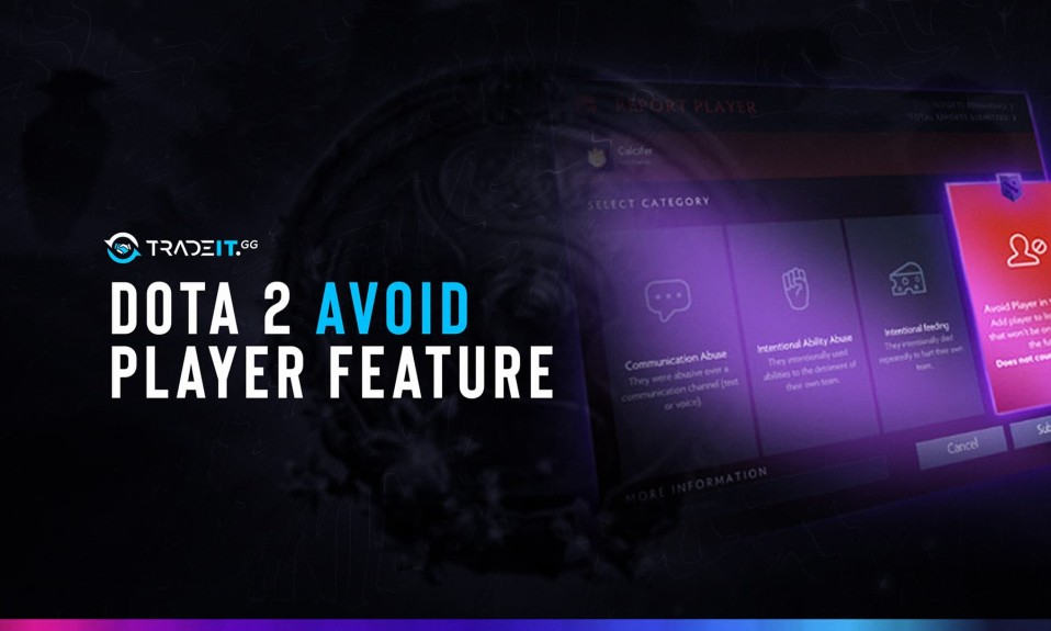 The Dota 2 Avoid Player Feature
