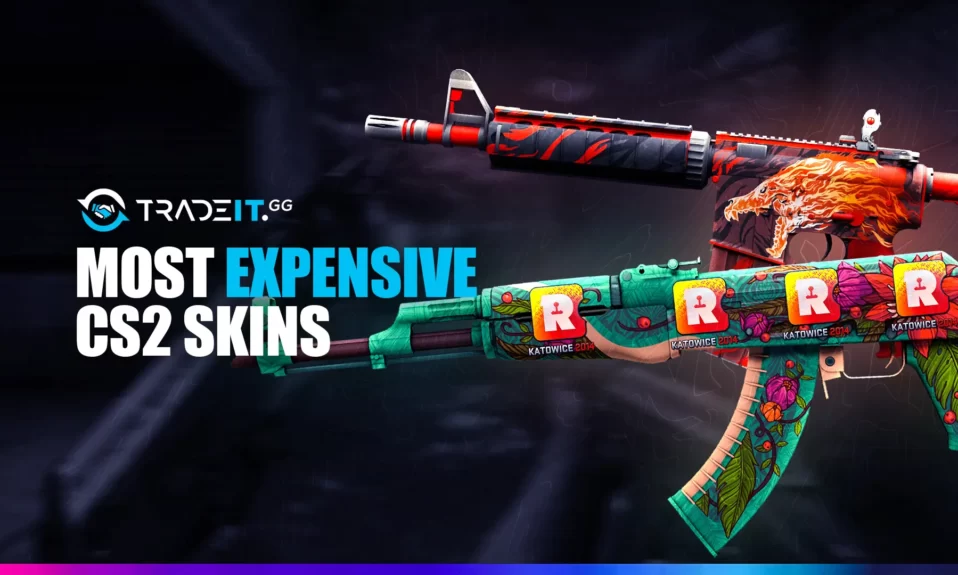 Most Expensive CS2 Skin in 2024