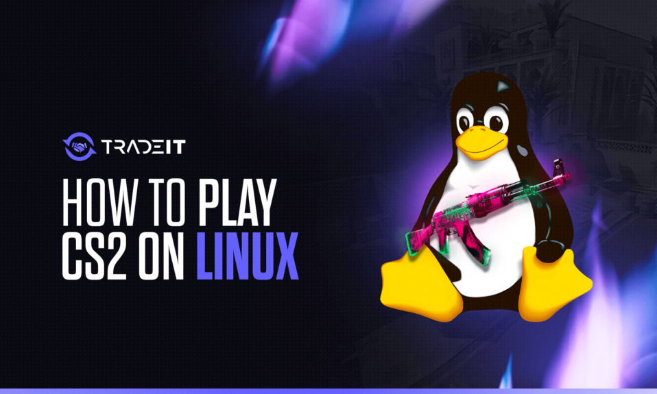 How to Play CS2 on Linux – Does it Run?